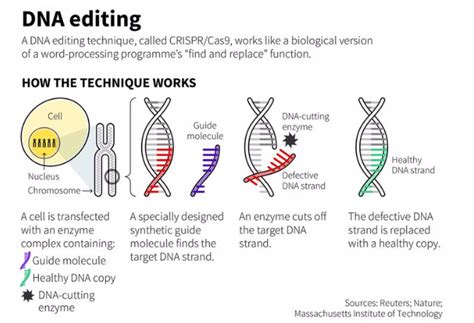 How gene editing is changing the world | World Economic Forum