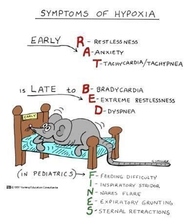 Symptoms of Hypoxia | Nursing school survival, Nursing school, Nursing mnemonics