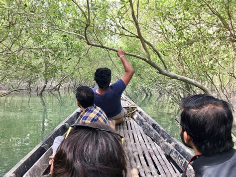 Best Taking In Sundarban National Parks Beauty