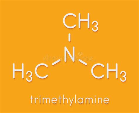 Trimethylamine Volatile Tertiary Amine Molecule. Important Component of the Smell of Rotting ...