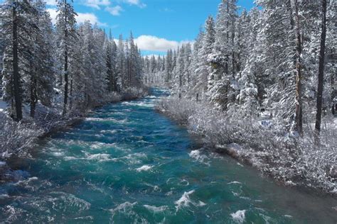 Whitewater Rapids in California Forest, in Winter - Public Policy ...