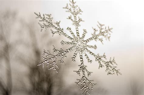 ᎦησฬƒℓąƘҽȿ Real Snowflake | Snowflakes real, Snowflake photography ...