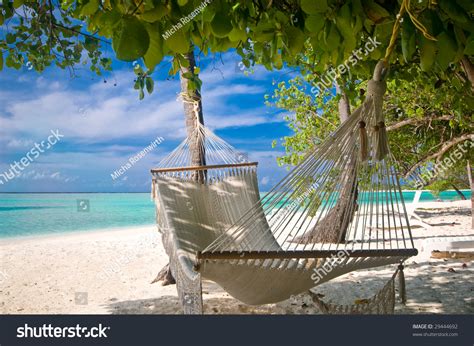 Beach Hammock Under Palm Trees Stock Photo 29444692 : Shutterstock