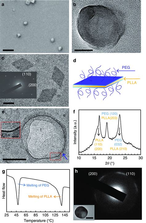 Morphology and crystal structure of PLLA-b-PEG single crystal and BCCs.... | Download Scientific ...