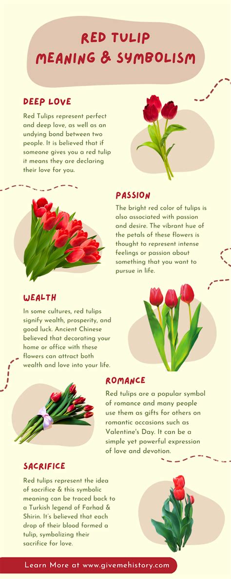 Red Tulip Symbolism (Top 13 Meanings) - Give Me History