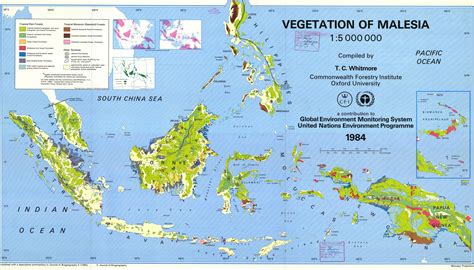 The vegetation of Malesia/the Malay Archipelago [ 3123 × 1784] : MapPorn