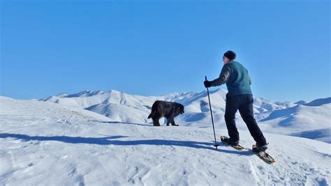 Top places to go snowshoeing