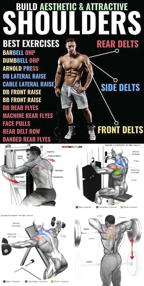 32+ List of shoulder exercises partner | dailyabsworkouttips