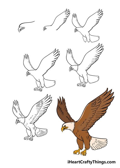 How to Draw an Eagle: Step-by-Step Guide