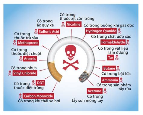 TÁC HẠI CỦA THUỐC LÁ ĐẾN SỨC KHỎE CON NGƯỜI