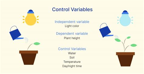 Dependent Variable Science Examples