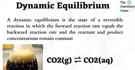 Dynamic equilibrium: Definition, Important Examples