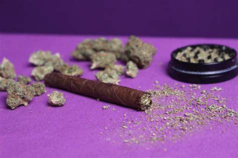 How to roll a Backwoods blunt (8 steps with photos) - CBD Oracle