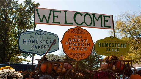 The Great Pumpkin Patch The 200 Acres Branding Work by McKenzie Wagner Inc: A Creative ...