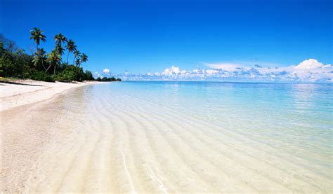 Serenity Beach in Pondicherry