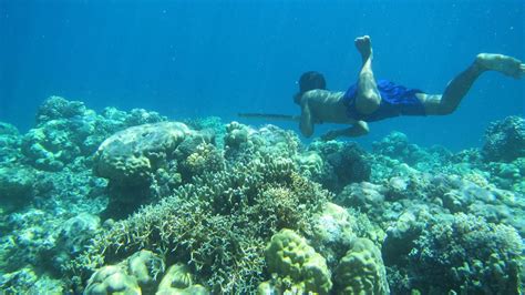 Rare Mutation Among Bajau People Lets Them Stay Underwater Longer