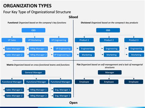 Organization Types PowerPoint and Google Slides Template - PPT Slides