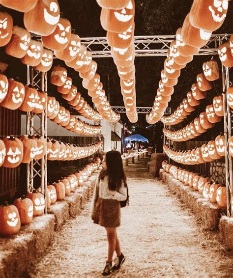 Journey through 3,000 glowing pumpkins at Pumpkin Nights in Dallas - MyParisTexas