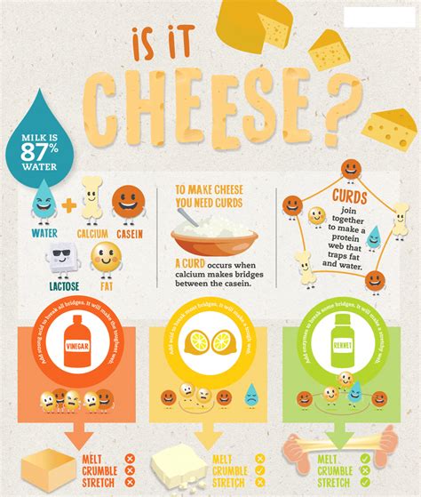 The Magic of Cheese Making | Covoji Learning