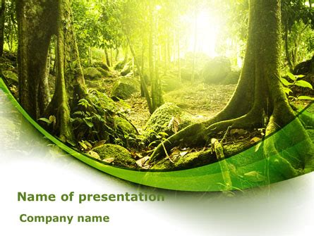 Rainforest Background For Powerpoint