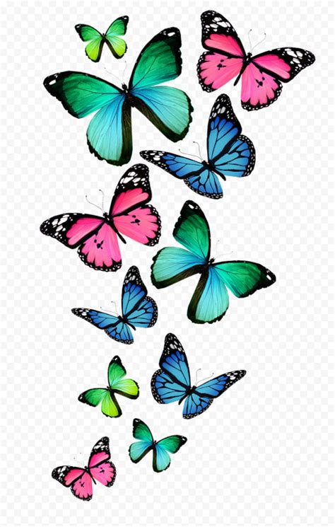 Butterflies Flying Wallpaper Clipart | Citypng