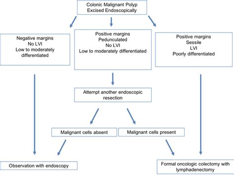 Management of the malignant colorectal polyp—is formal resection needed? - Department of Surgery