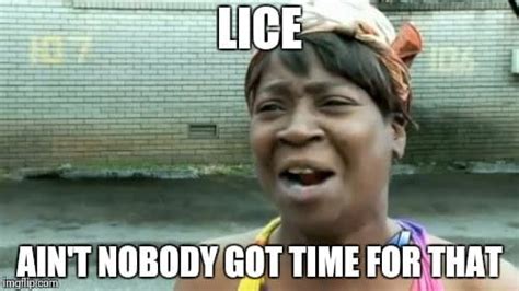 10 Memes That Come to Mind When You Hear the Words 'Head Lice' - Mommyish