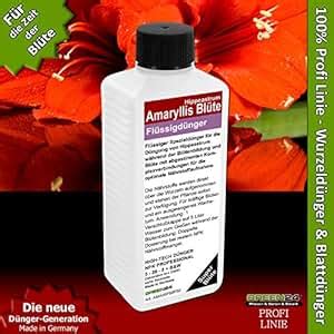 Amaryllis Hippeastrum Bloom Liquid Fertilizer HighTech NPK, root and ...