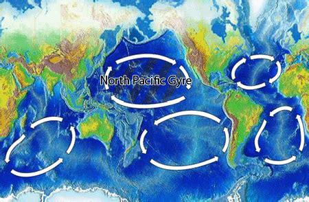 Great Pacific Garbage Patch now 3 times size of France | Earth | EarthSky