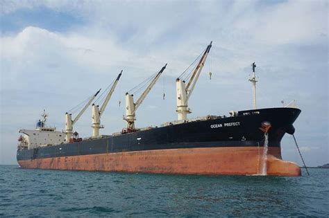 UK releases report of ship grounding in UAE - Ships & Ports