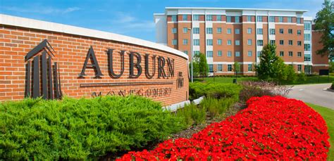 AUM Named Among Top Universities in the South - The Aumnibus