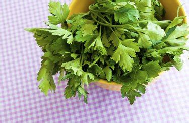 Herbs: Fresh Thyme vs. Dried Thyme | livestrong