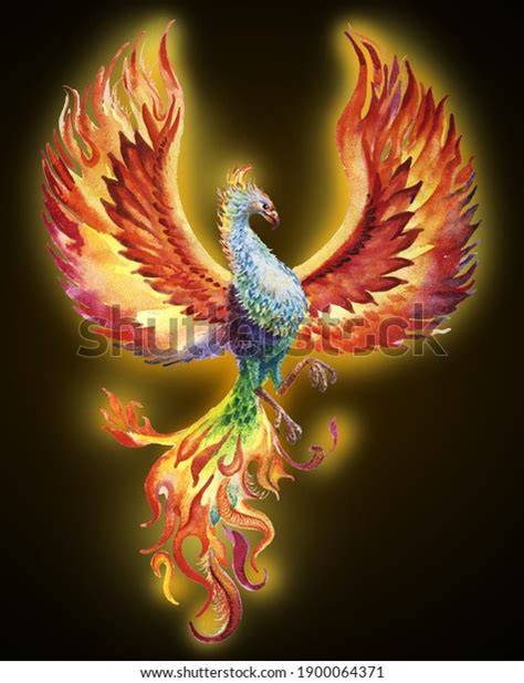 Phoenix Bird Watercolor Illustration On Dark Stock Illustration 1900064371