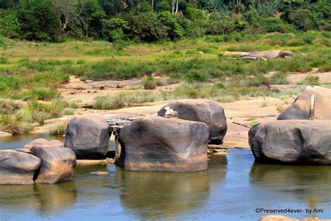 An Offbeat Trail Of Hampi Across the River Tungabhadra - Thrilling Travel