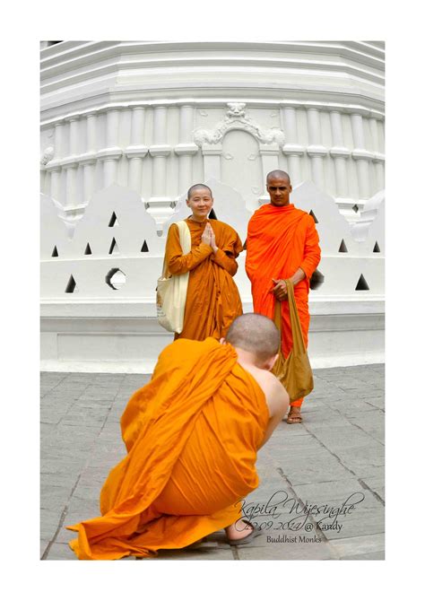 The lives of bhikkhus and bhikkhunis are governed by a set of rules ...