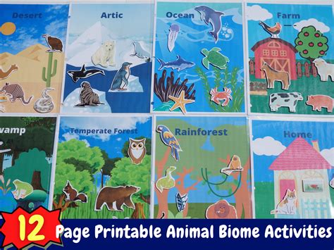 Animal Biome Busy Book Printable Activity Pre-k Science Preschool Quiet Book Animal Habitat ...