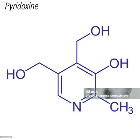 Vektor Rumus Kerangka Piridoksin Molekul Kimia Obat Ilustrasi Stok - Unduh Gambar Sekarang - iStock