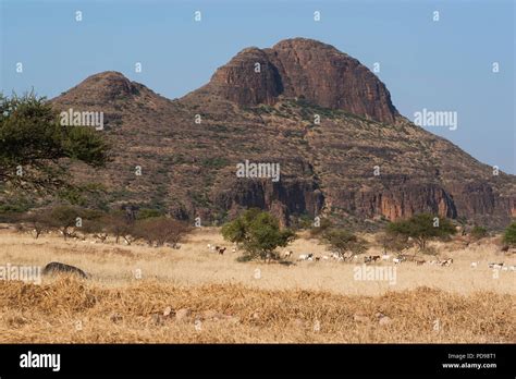 Hombori mountain mali hi-res stock photography and images - Alamy