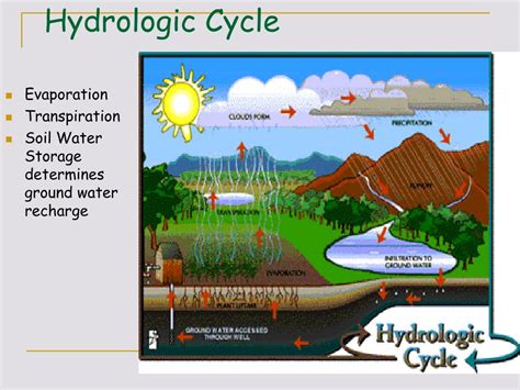 PPT - Lecture 7 b Soil Water – Part 2 PowerPoint Presentation, free download - ID:1059550