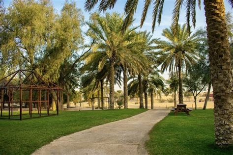 Sharjah Desert Park: A First Time Explorer's Guide