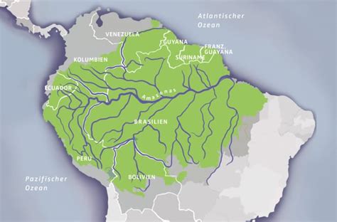 Regenwald Report 01/2023: Schatzkammer Amazonien - Amazonien – Schatzkammer der Erde - Rettet ...