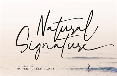 Signature handwriting font - ferartist