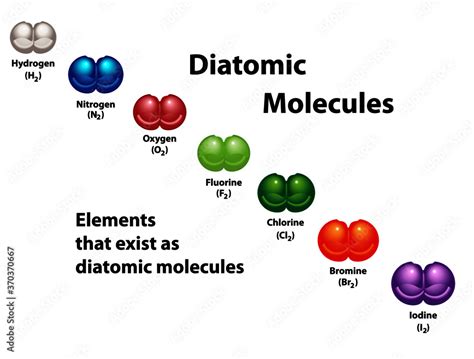 Vecteur Stock Diatomic molecules diagram shows elements that exist as ...