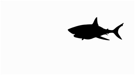 Great White Shark Silhouette at GetDrawings | Free download