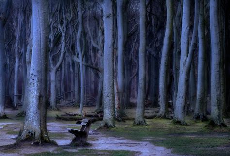 Ghost Forest Nienhagen :: Behance