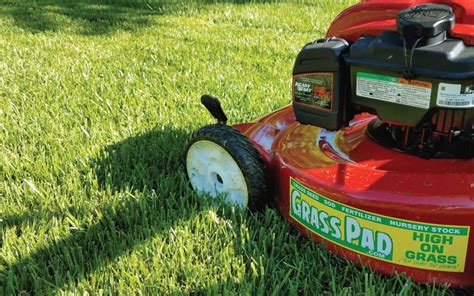 What is the Best Mowing Height for Your Lawn? - Grass Pad