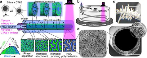 Formation of hollow fiber membranes by STRIPS. a Schematics of hollow... | Download Scientific ...