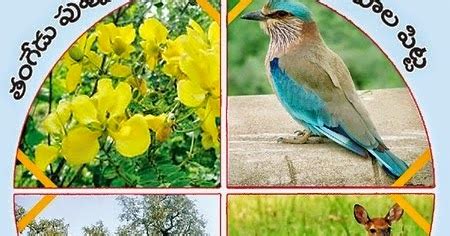 Telangana State Official Bird Animal Flower Tree Symbols:Telangana ...