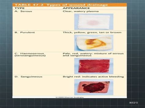 Image result for sanguineous vs serosanguineous | Nurse practitioner school, Neonatal nurse ...