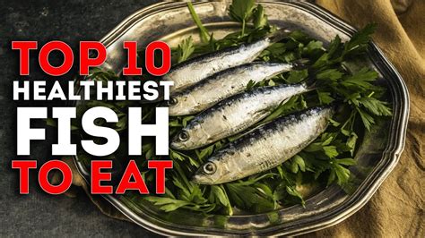 Top 10 Healthiest Fish To Eat